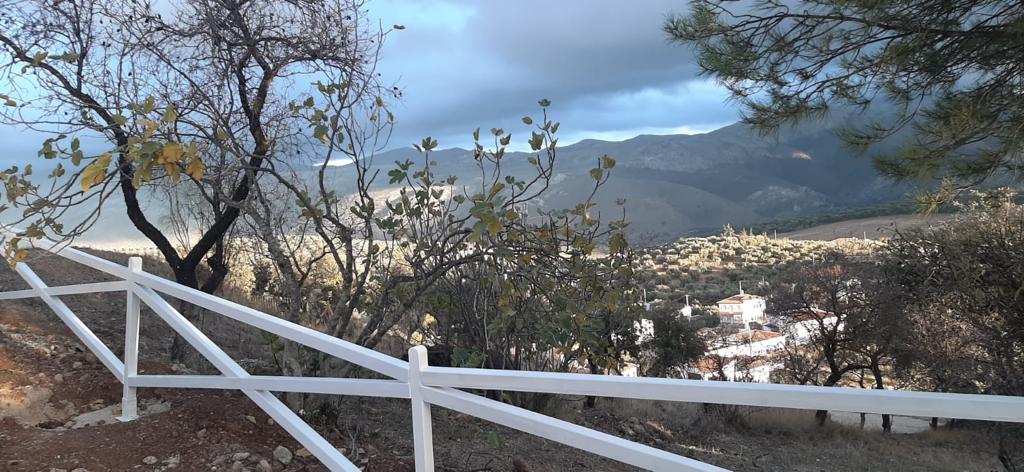 VALLA CERCADO FINCA MADERA BLANCA