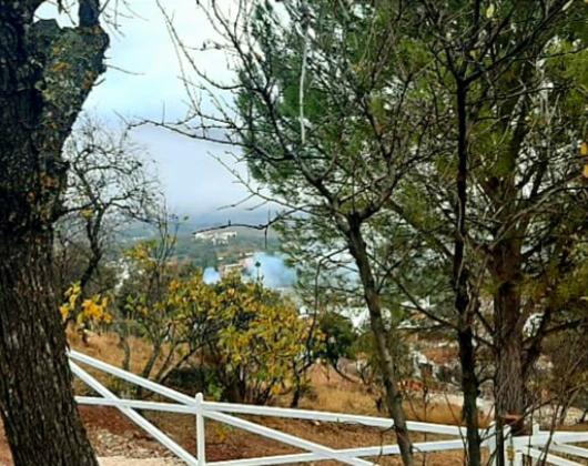 VALLA CERCADO FINCA MADERA BLANCA